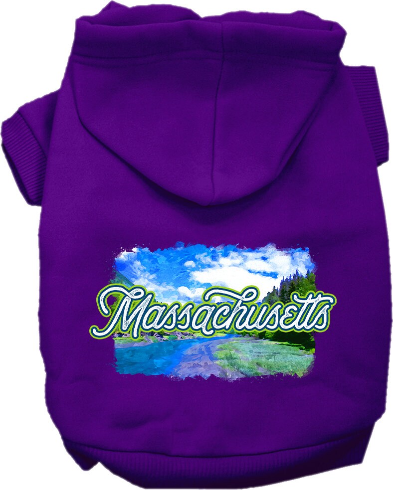 A cozy screen printed hoodie for medium to large pets, featuring a vibrant Massachusetts Summer design, perfect for dogs and cats.