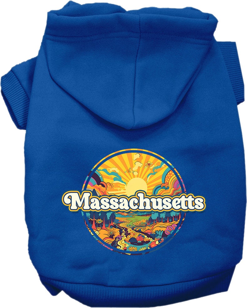 A cozy screen printed hoodie for medium to large pets, featuring the 'Massachusetts Groovy Summit' design, perfect for chilly weather.