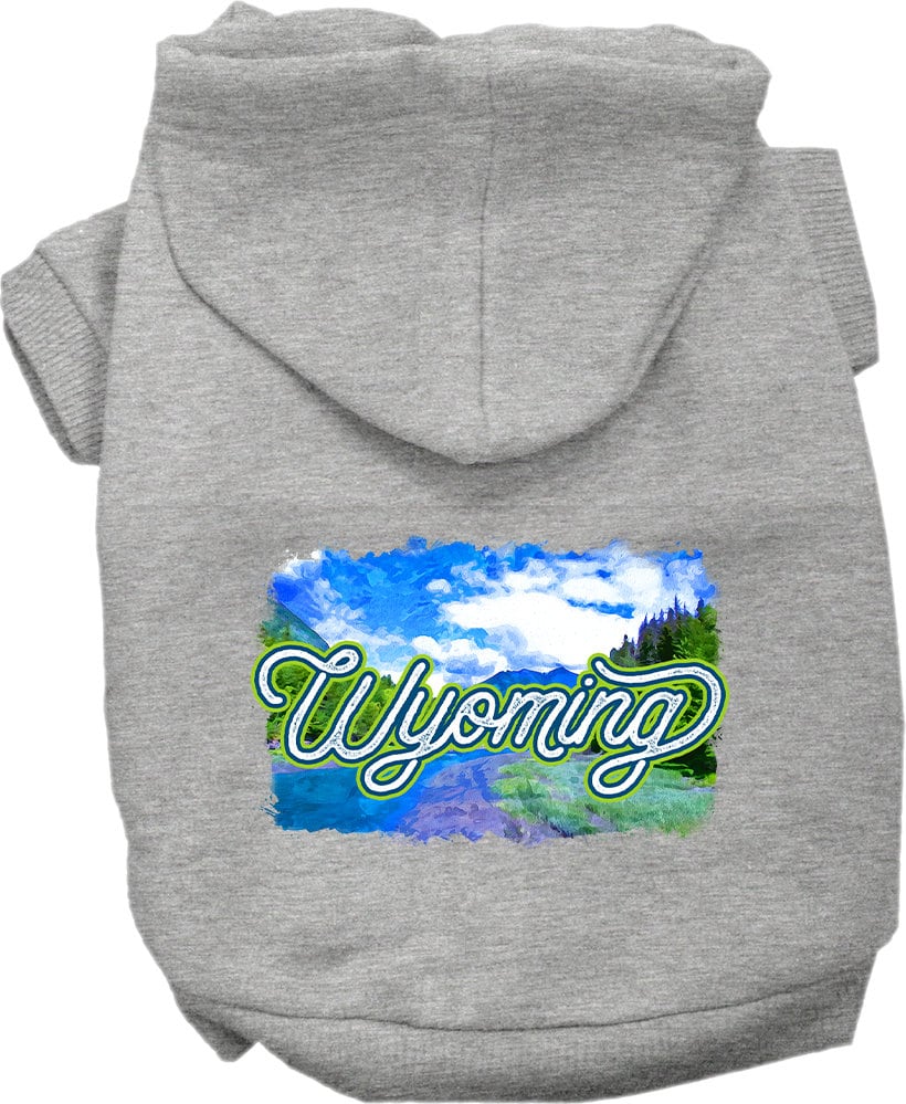 A cozy screen printed hoodie for medium to large pets, featuring a Wyoming Summer design, showcasing its soft fabric and durable stitching.