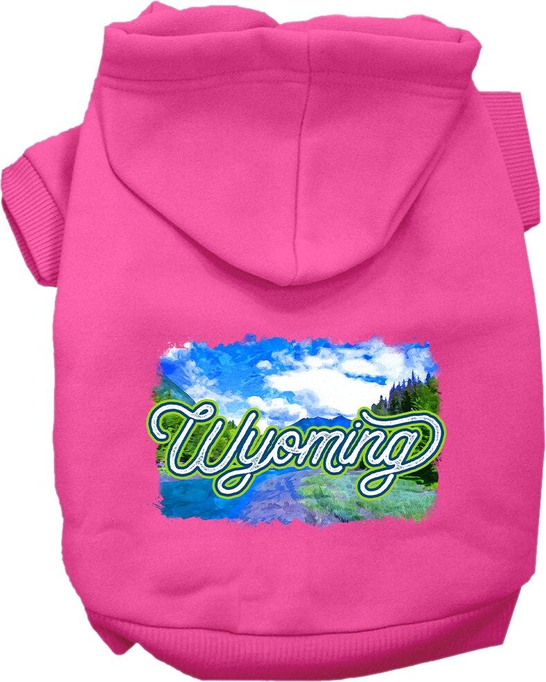 A cozy screen printed hoodie for medium to large pets, featuring a Wyoming Summer design, showcasing its soft fabric and durable stitching.
