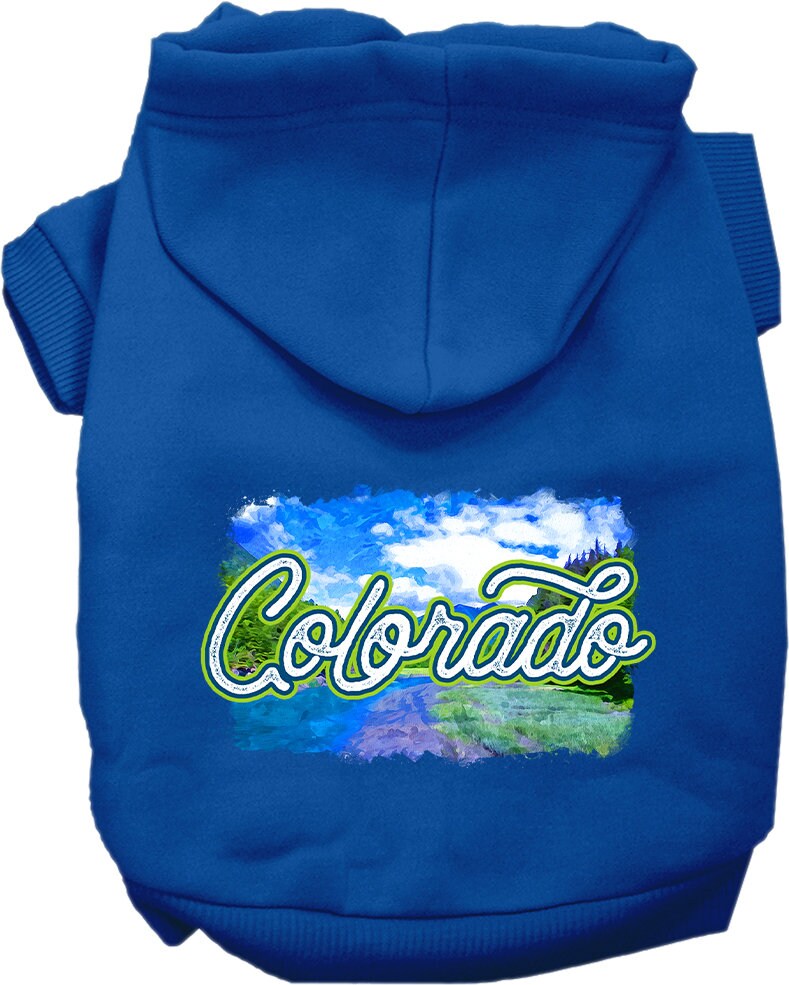 A cozy screen printed hoodie for medium to large pets, featuring a colorful Colorado Summer design, perfect for dogs and cats.