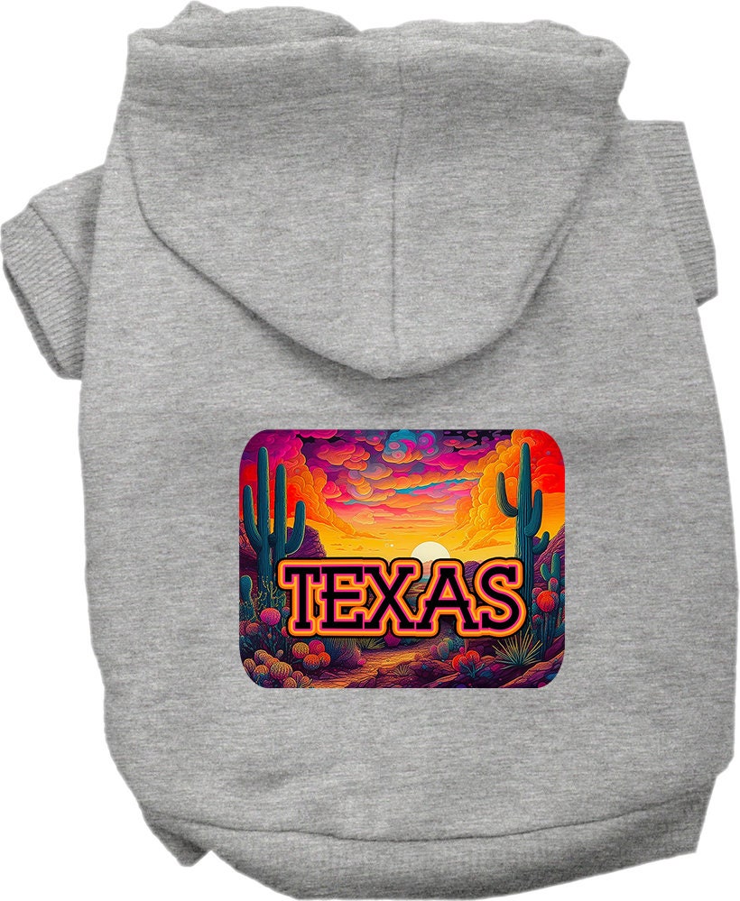A medium to large pet wearing a stylish Texas Neon Desert hoodie, showcasing vibrant colors and a comfortable fit.