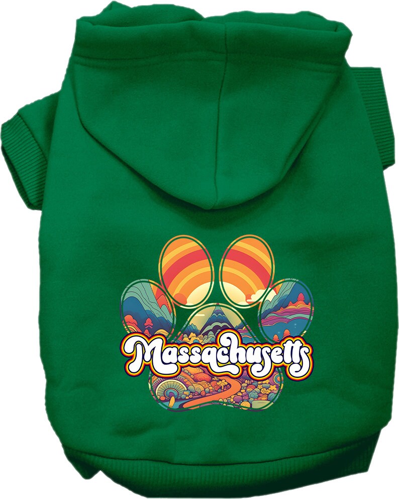A cozy screen printed hoodie for medium to large pets featuring the 'Massachusetts Groovy Summit' design, perfect for stylish walks.
