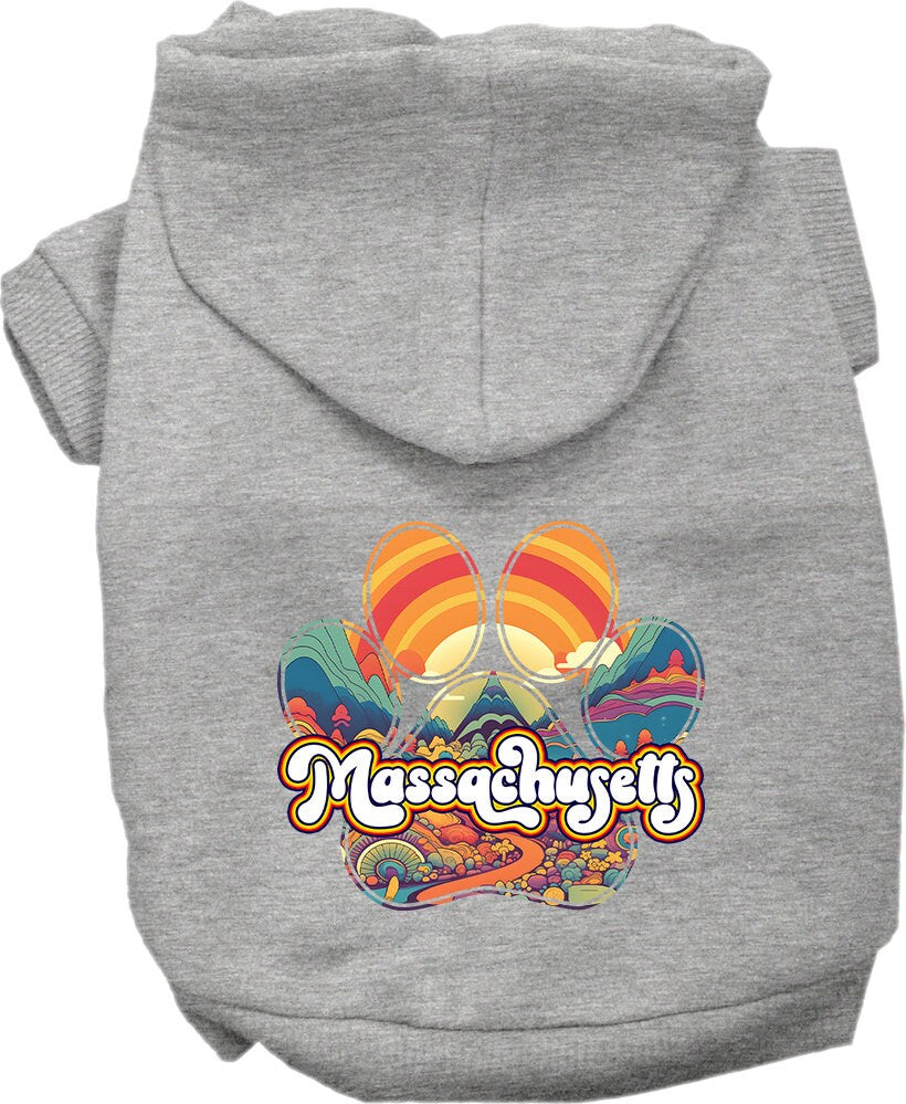 A cozy screen printed hoodie for medium to large pets featuring the 'Massachusetts Groovy Summit' design, perfect for stylish walks.