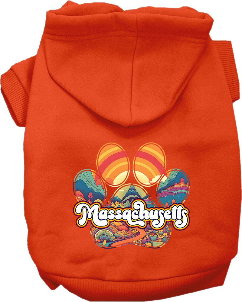 A cozy screen printed hoodie for medium to large pets featuring the 'Massachusetts Groovy Summit' design, perfect for stylish walks.