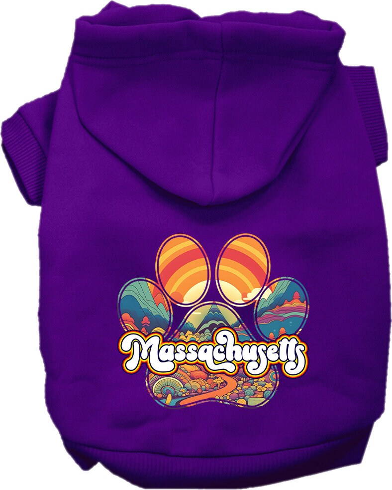 A cozy screen printed hoodie for medium to large pets featuring the 'Massachusetts Groovy Summit' design, perfect for stylish walks.