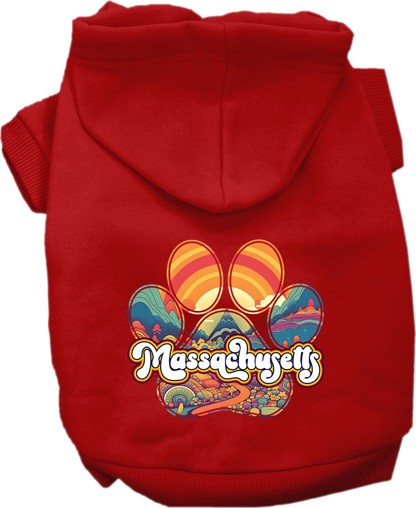 A cozy screen printed hoodie for medium to large pets featuring the 'Massachusetts Groovy Summit' design, perfect for stylish walks.