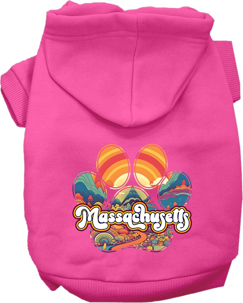 A cozy screen printed hoodie for medium to large pets featuring the 'Massachusetts Groovy Summit' design, perfect for stylish walks.