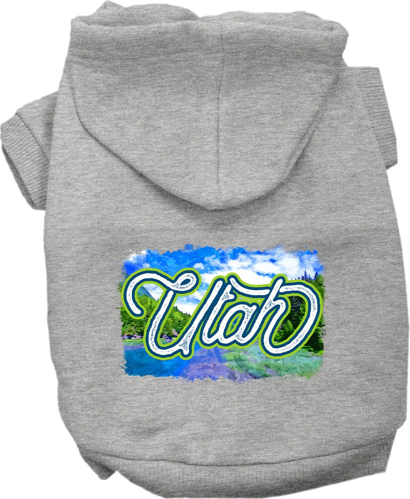 A cozy screen printed hoodie for medium to large pets, featuring a vibrant 'Utah Summer' design, perfect for dogs and cats.