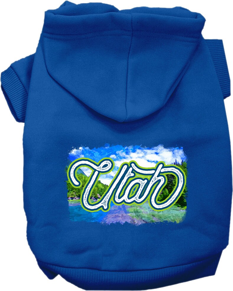 A cozy screen printed hoodie for medium to large pets, featuring a vibrant 'Utah Summer' design, perfect for dogs and cats.