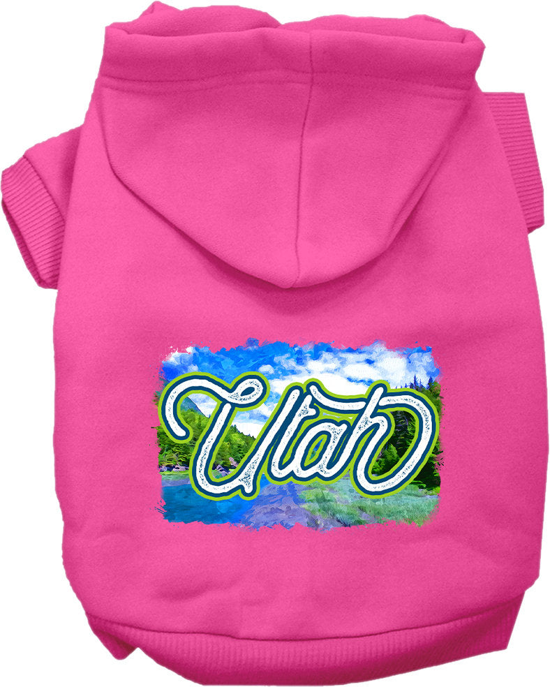 A cozy screen printed hoodie for medium to large pets, featuring a vibrant 'Utah Summer' design, perfect for dogs and cats.