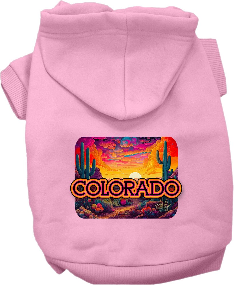 A small to medium pet wearing a colorful 'Colorado Neon Desert' hoodie, showcasing its soft fabric and stylish design.