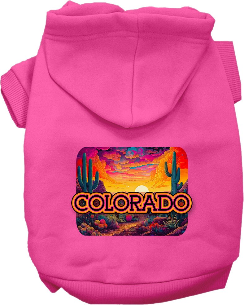 A small to medium pet wearing a colorful 'Colorado Neon Desert' hoodie, showcasing its soft fabric and stylish design.