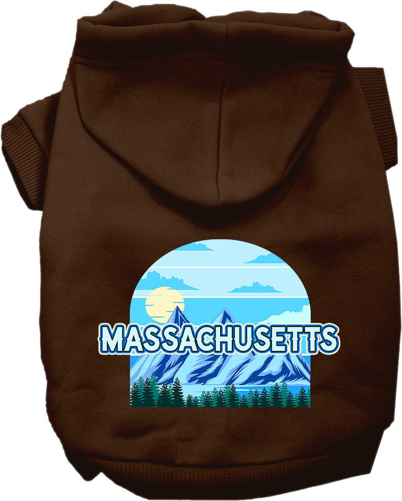 A small to medium pet wearing a cozy Massachusetts Trailblazer hoodie, showcasing its stylish design and convenient leash access hole.