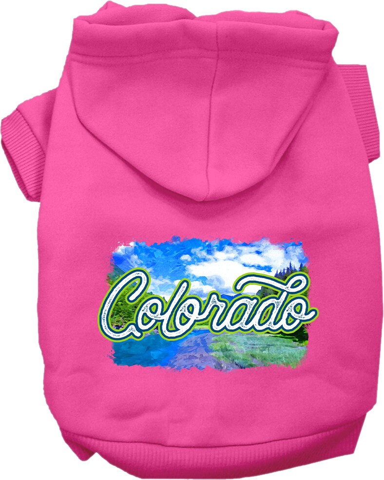 A cozy screen printed hoodie for small to medium pets, featuring a vibrant Colorado Summer design, perfect for dogs and cats.