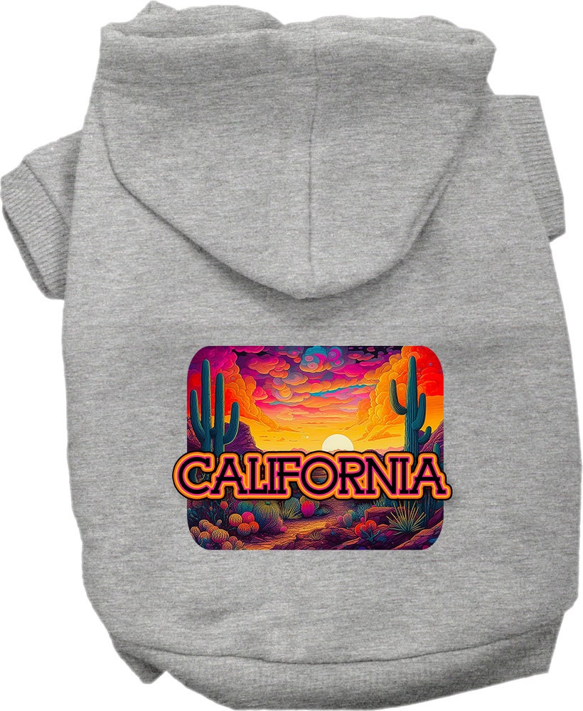 A small to medium pet wearing a California Neon Desert hoodie, showcasing vibrant colors and a stylish design.