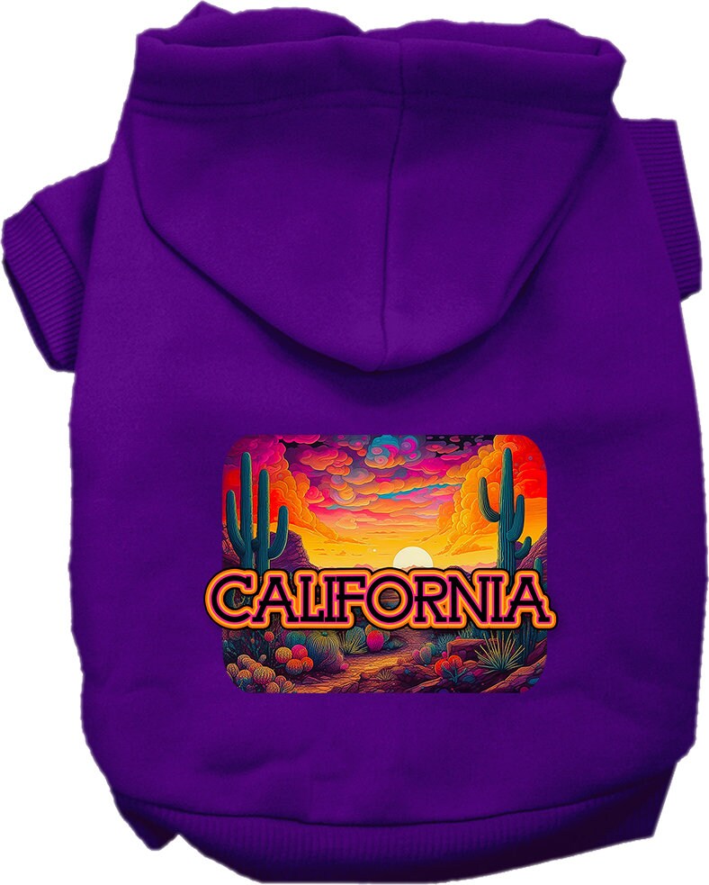 A small to medium pet wearing a California Neon Desert hoodie, showcasing vibrant colors and a stylish design.