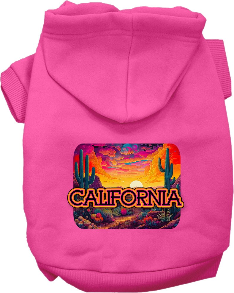 A small to medium pet wearing a California Neon Desert hoodie, showcasing vibrant colors and a stylish design.