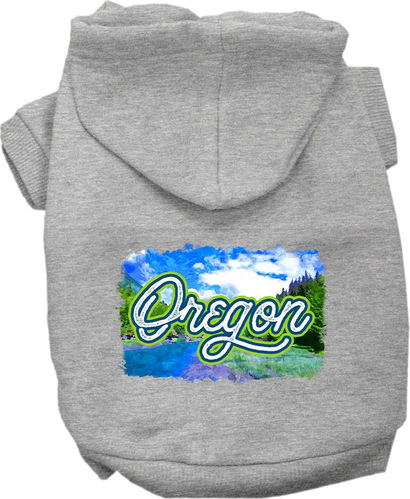 A small to medium pet wearing a cozy Oregon Summer screen printed hoodie, showcasing its vibrant design and comfortable fit.
