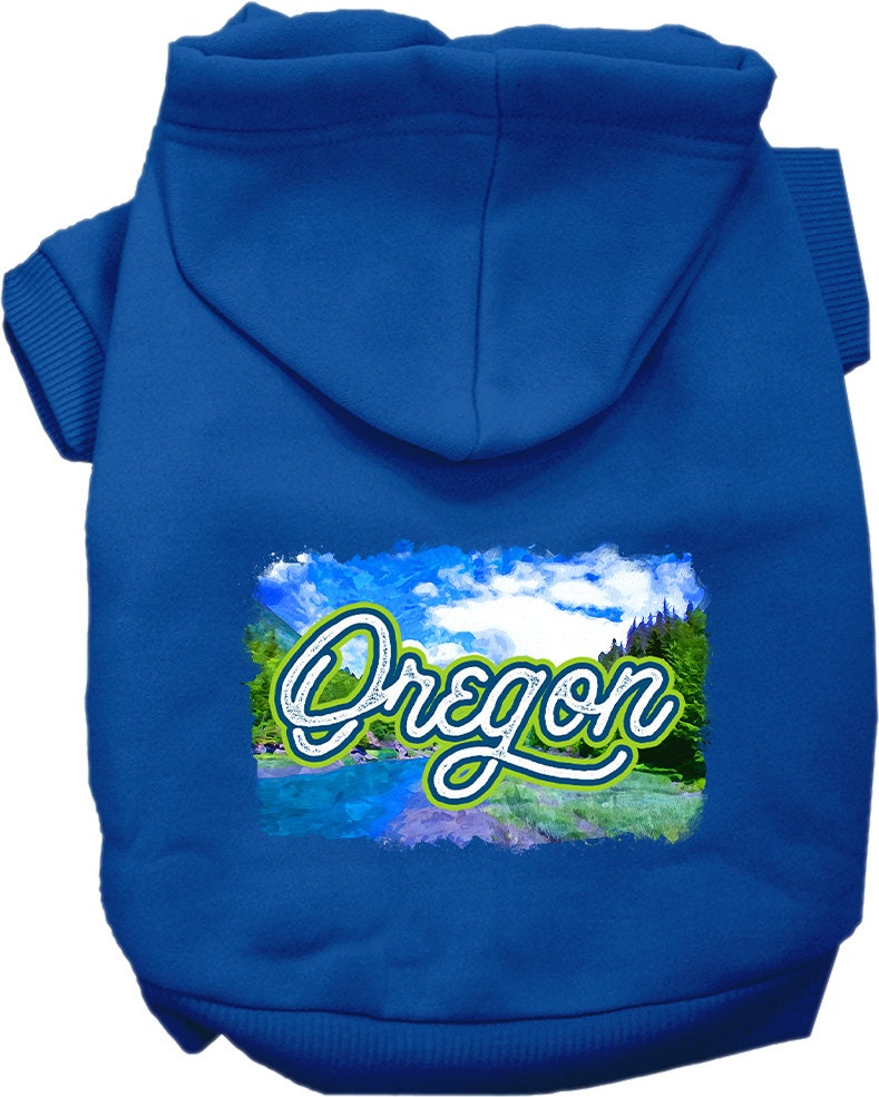 A small to medium pet wearing a cozy Oregon Summer screen printed hoodie, showcasing its vibrant design and comfortable fit.