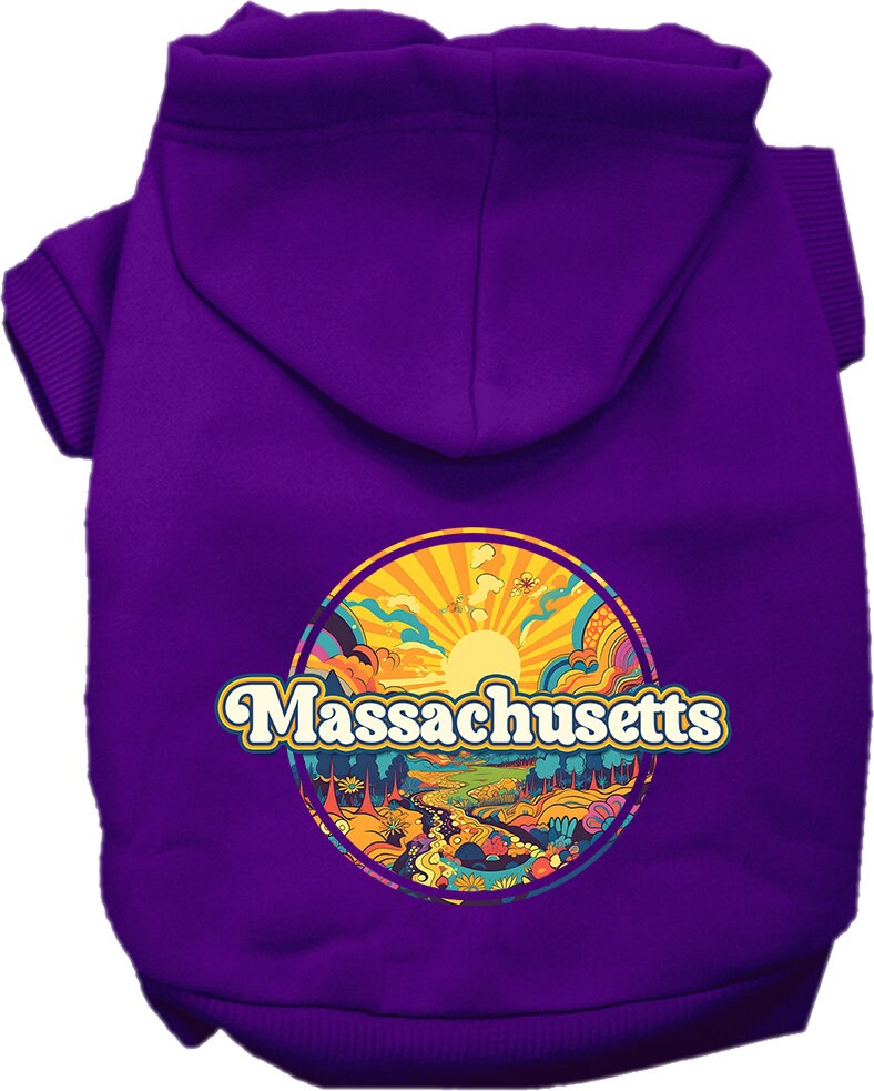 A cozy screen printed hoodie for small to medium pets featuring the 'Massachusetts Groovy Summit' design, perfect for dogs and cats.