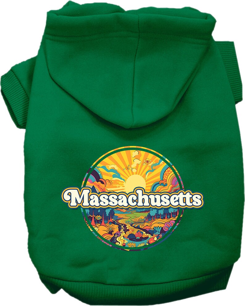 A cozy screen printed hoodie for small to medium pets featuring the 'Massachusetts Groovy Summit' design, perfect for dogs and cats.