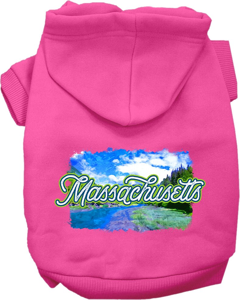 A small to medium pet wearing a cozy screen printed hoodie with a 'Massachusetts Summer' design, showcasing its soft fabric and convenient leash access.