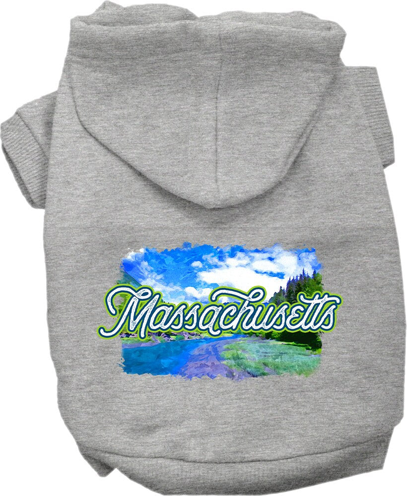A small to medium pet wearing a cozy screen printed hoodie with a 'Massachusetts Summer' design, showcasing its soft fabric and convenient leash access.