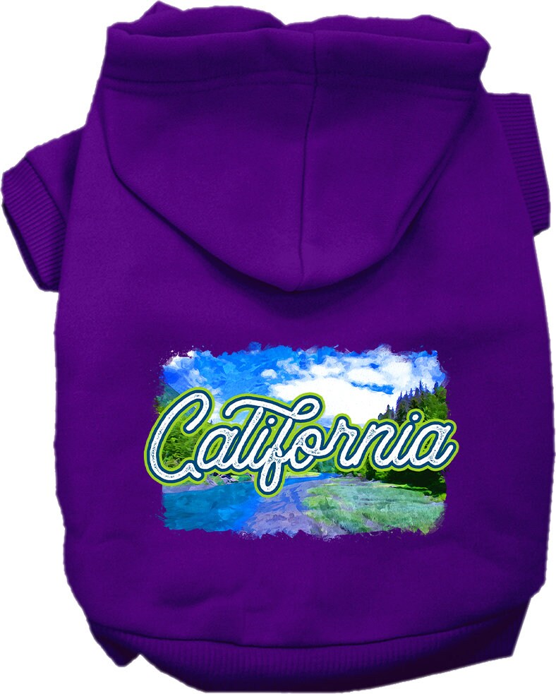 A small to medium pet wearing a stylish screen printed hoodie with a 'California Summer' design, showcasing its soft fabric and convenient leash access.