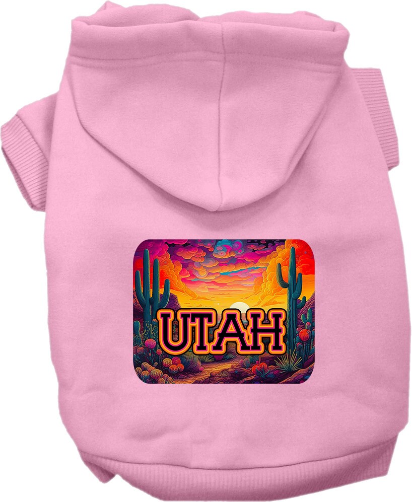 A small to medium pet wearing a vibrant Utah Neon Desert hoodie, showcasing its soft fabric and convenient leash access hole.