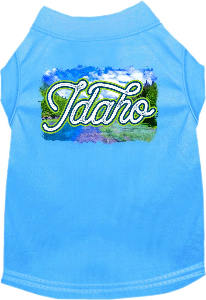 A medium to large pet wearing a soft, screen printed shirt with an Idaho Summer design, showcasing vibrant colors and a comfortable fit.