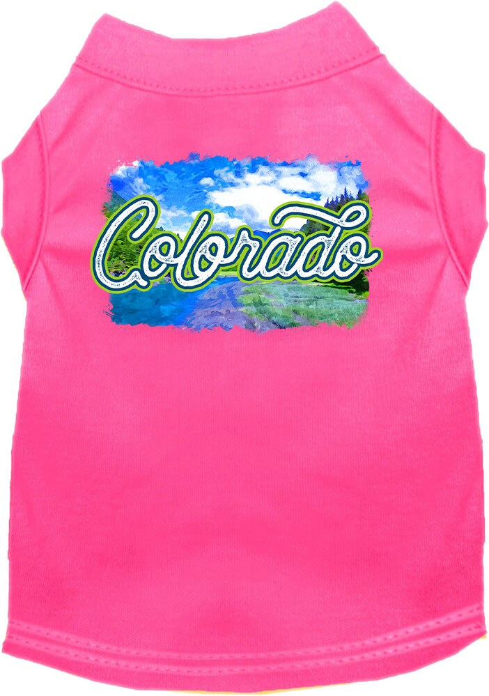 A medium to large pet wearing a soft, comfy screen printed shirt with a 'Colorado Summer' design, showcasing its vibrant colors and stylish fit.