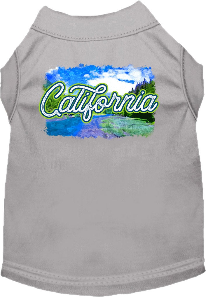 A medium to large pet wearing a soft, screen printed shirt with a vibrant 'California Summer' design, showcasing comfort and style.
