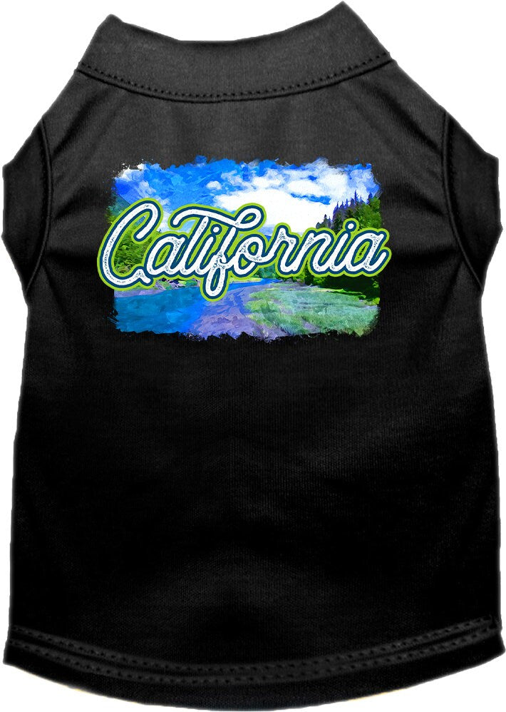 A medium to large pet wearing a soft, screen printed shirt with a vibrant 'California Summer' design, showcasing comfort and style.