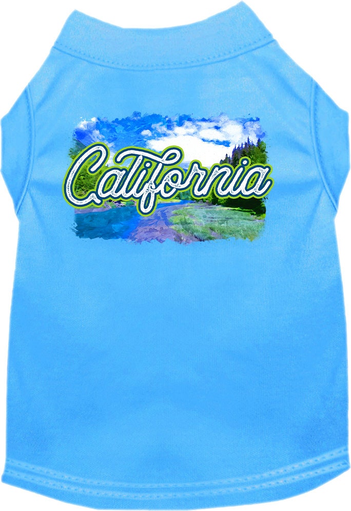 A medium to large pet wearing a soft, screen printed shirt with a vibrant 'California Summer' design, showcasing comfort and style.