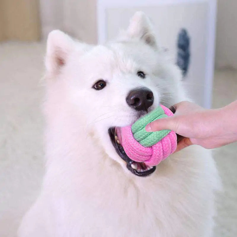 A durable pink cotton rope chew toy designed for dogs, promoting dental health and providing entertainment.