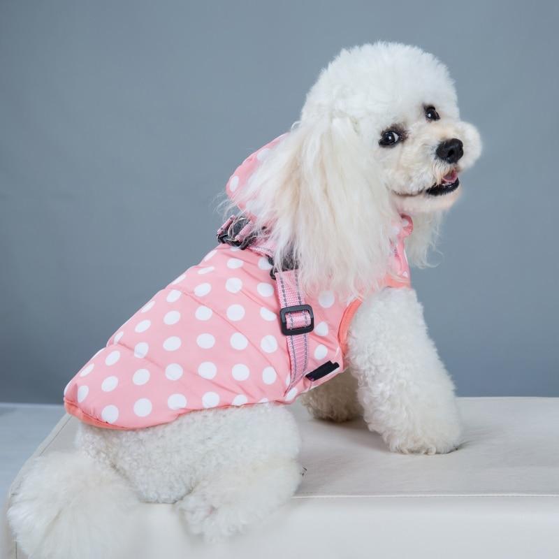 A stylish winter skiing jacket coat for puppies, featuring an adjustable chest strap and a vibrant print design, perfect for outdoor walks.