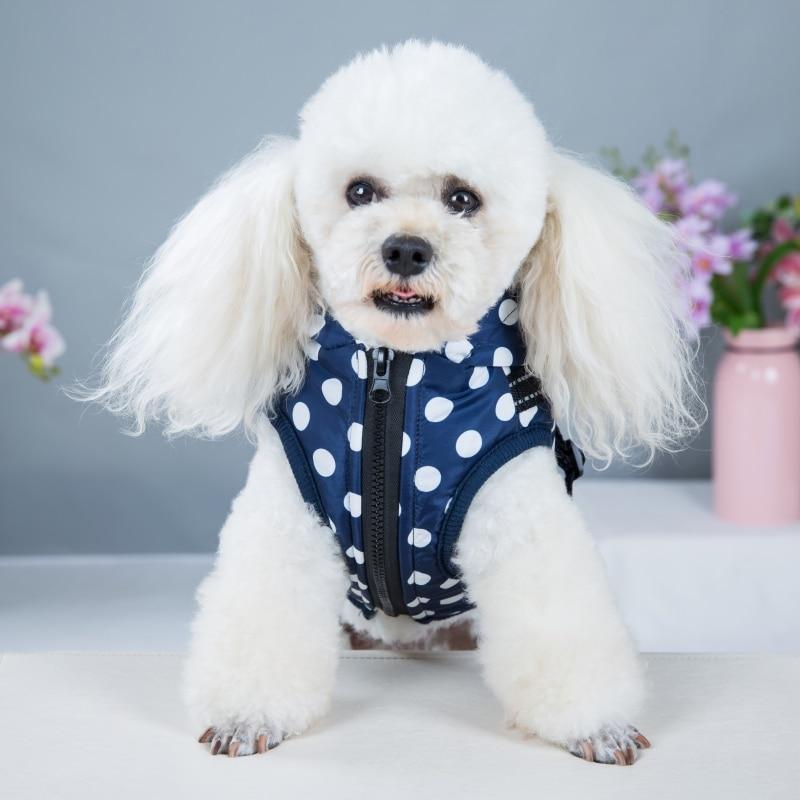 A stylish winter skiing jacket coat for puppies, featuring an adjustable chest strap and a vibrant print design, perfect for outdoor walks.