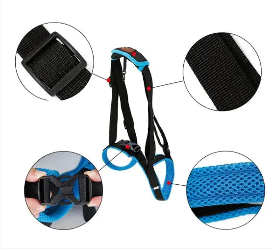 A dog wearing a Pet Leg Strap Walking Support, showcasing its adjustable straps and ergonomic design for enhanced mobility.