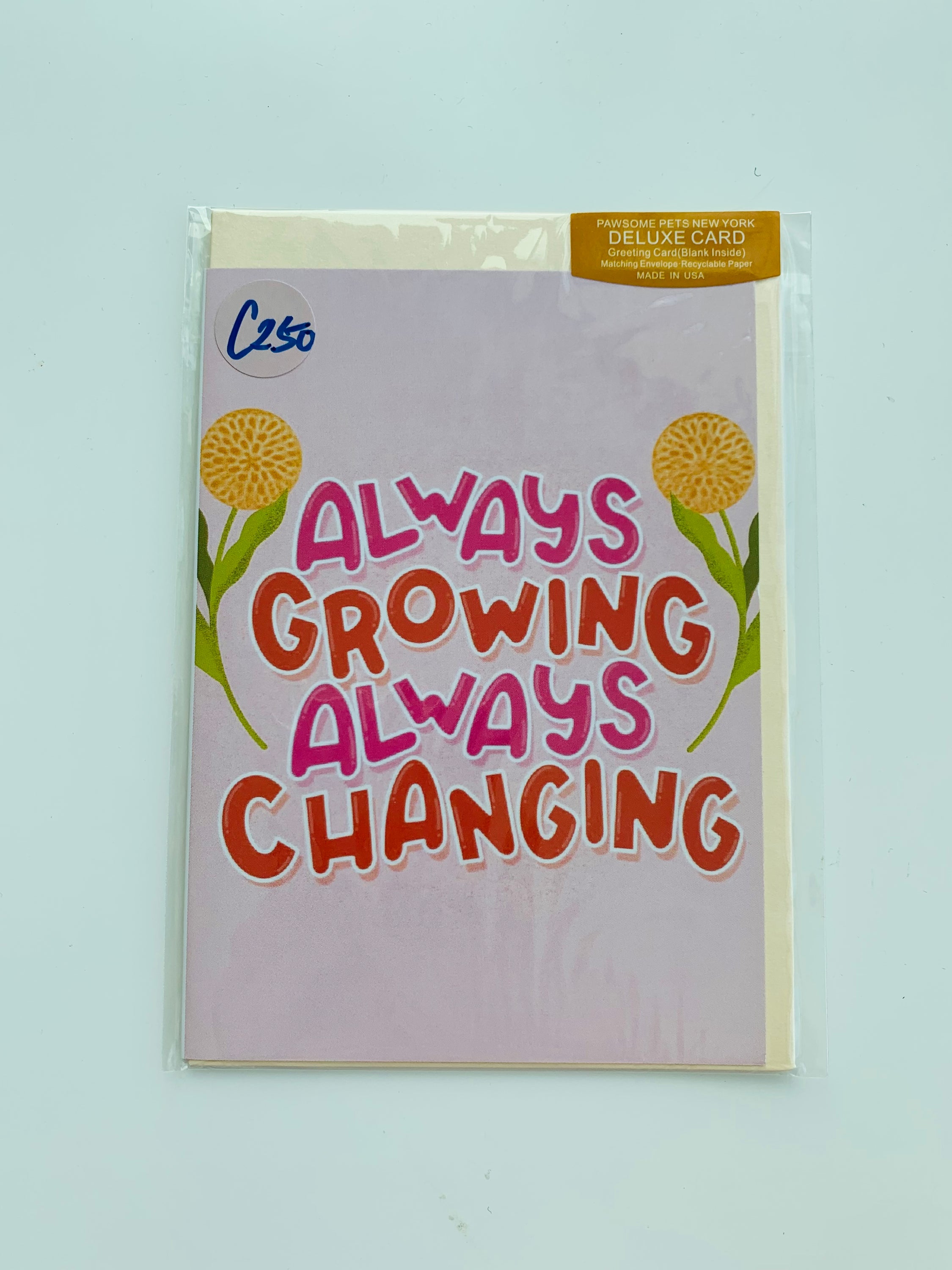 PETS CARD - #170 featuring a hand-painted design on smooth white cardstock with a craft envelope.