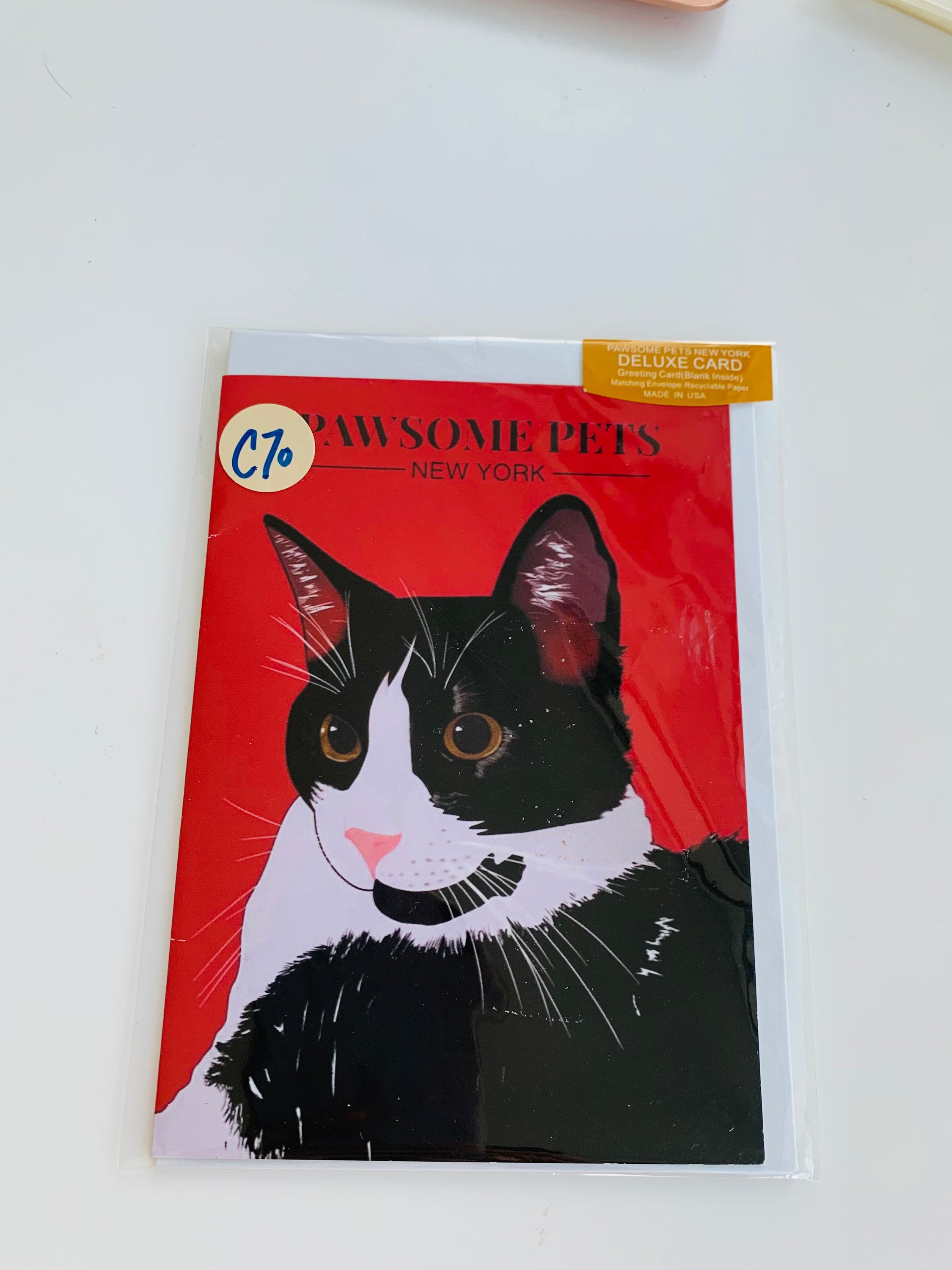 PETS CARD - #44 featuring a hand-painted design on smooth white cardstock with a craft envelope.