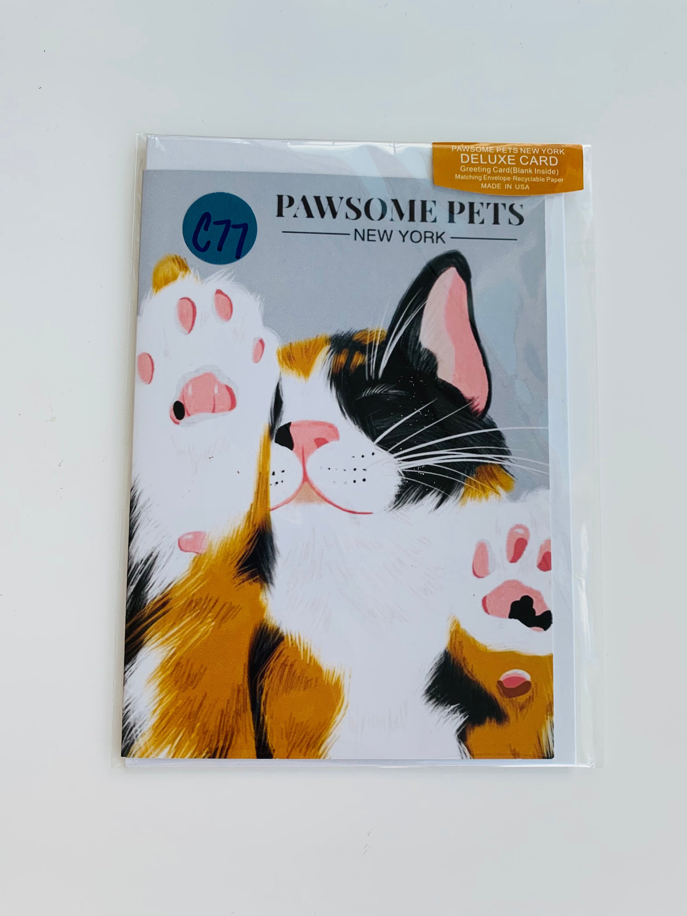 PETS CARD - #48 featuring a hand-painted design on smooth white cardstock with a craft envelope.