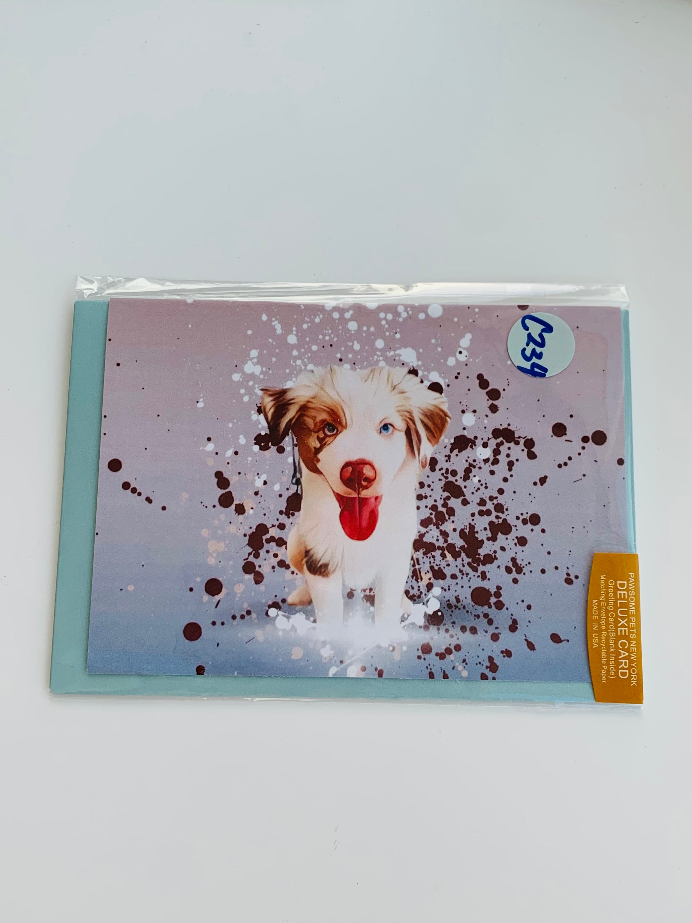 PETS CARD - #58 featuring a hand-painted design on smooth white cardstock with a plain craft envelope.