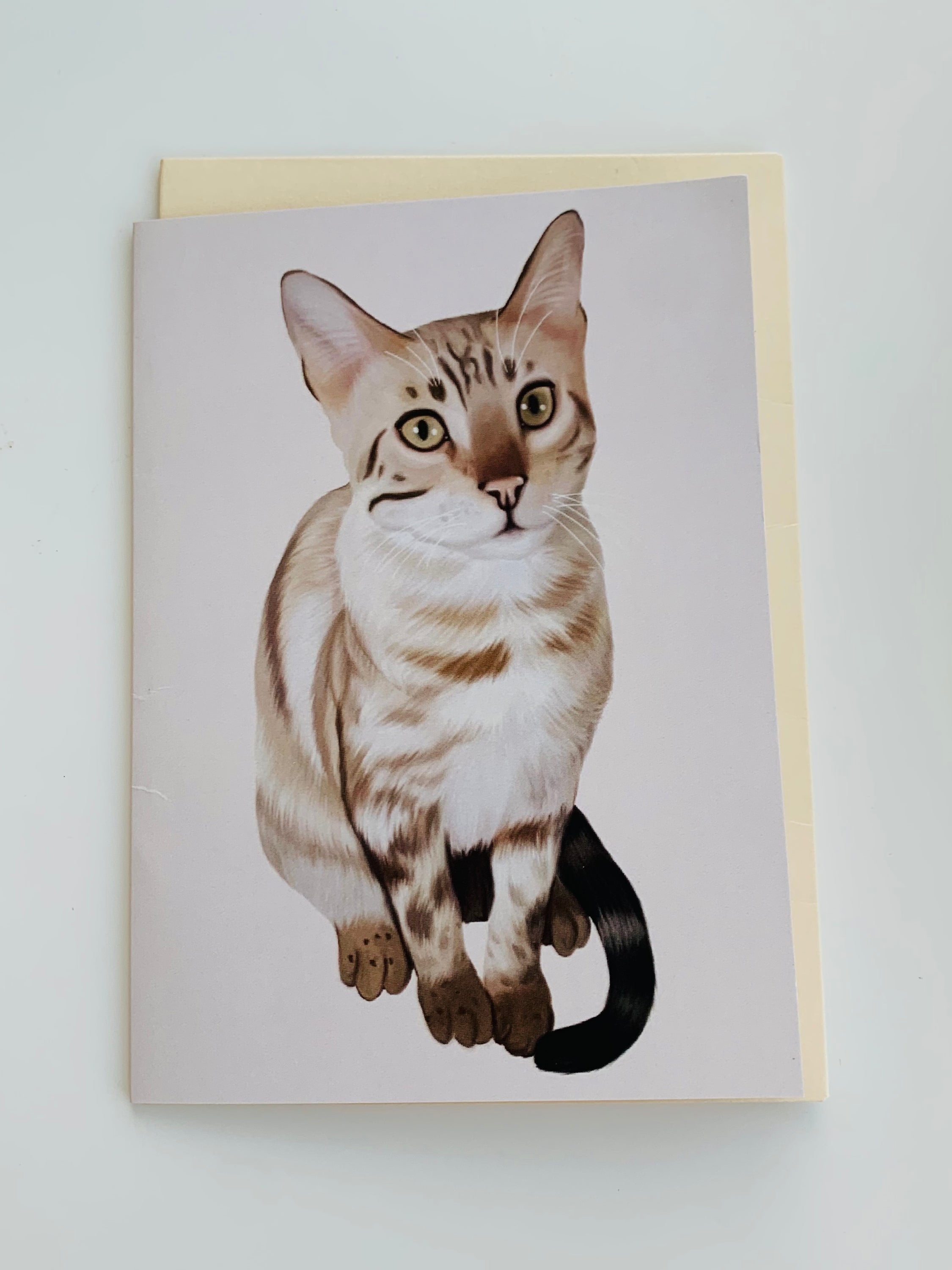 Main PETS CARD - #89 image