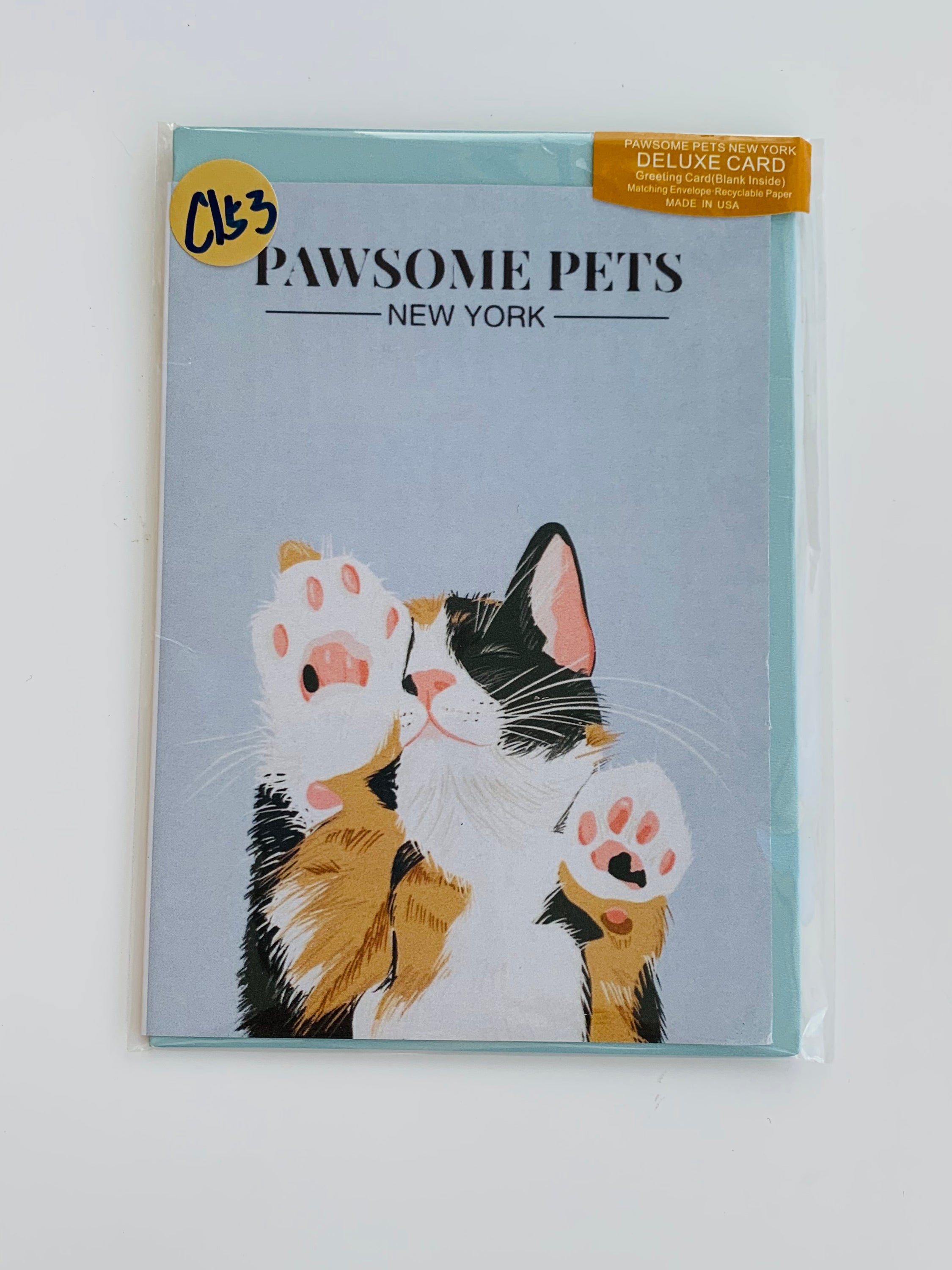 PETS CARD - #93 featuring a hand-painted design on smooth white cardstock with a craft envelope.