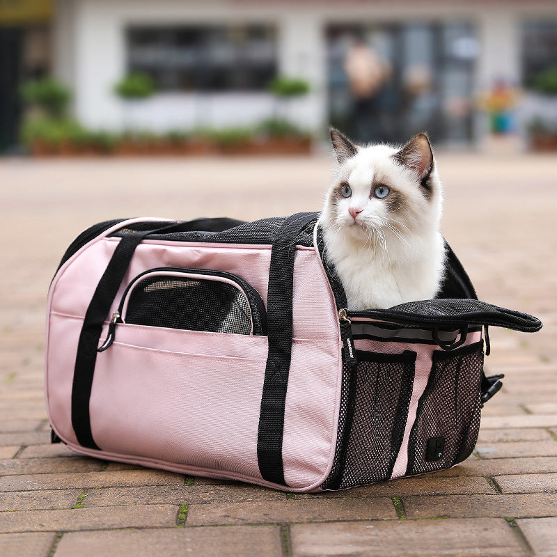A stylish and durable pet carrier with transparent design and ventilation holes, perfect for traveling with pets.