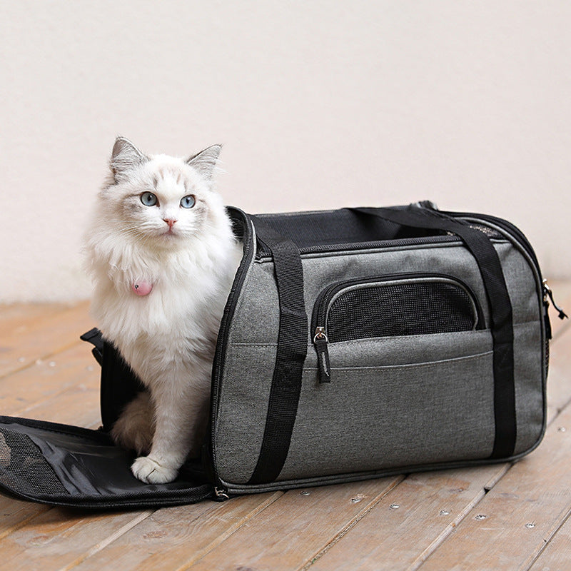 A stylish and durable pet carrier with transparent design and ventilation holes, perfect for traveling with pets.