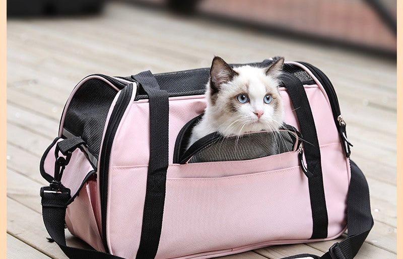 A stylish and durable pet carrier with transparent design and ventilation holes, perfect for traveling with pets.