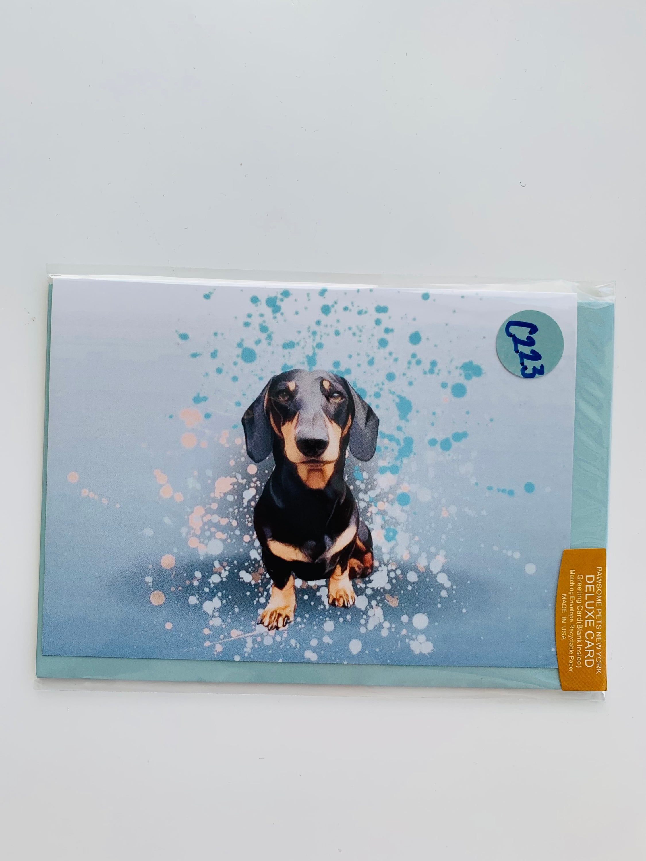 A beautifully designed PETS GREETING CARD featuring a hand-painted illustration of pets, printed on smooth white cardstock with a craft envelope.
