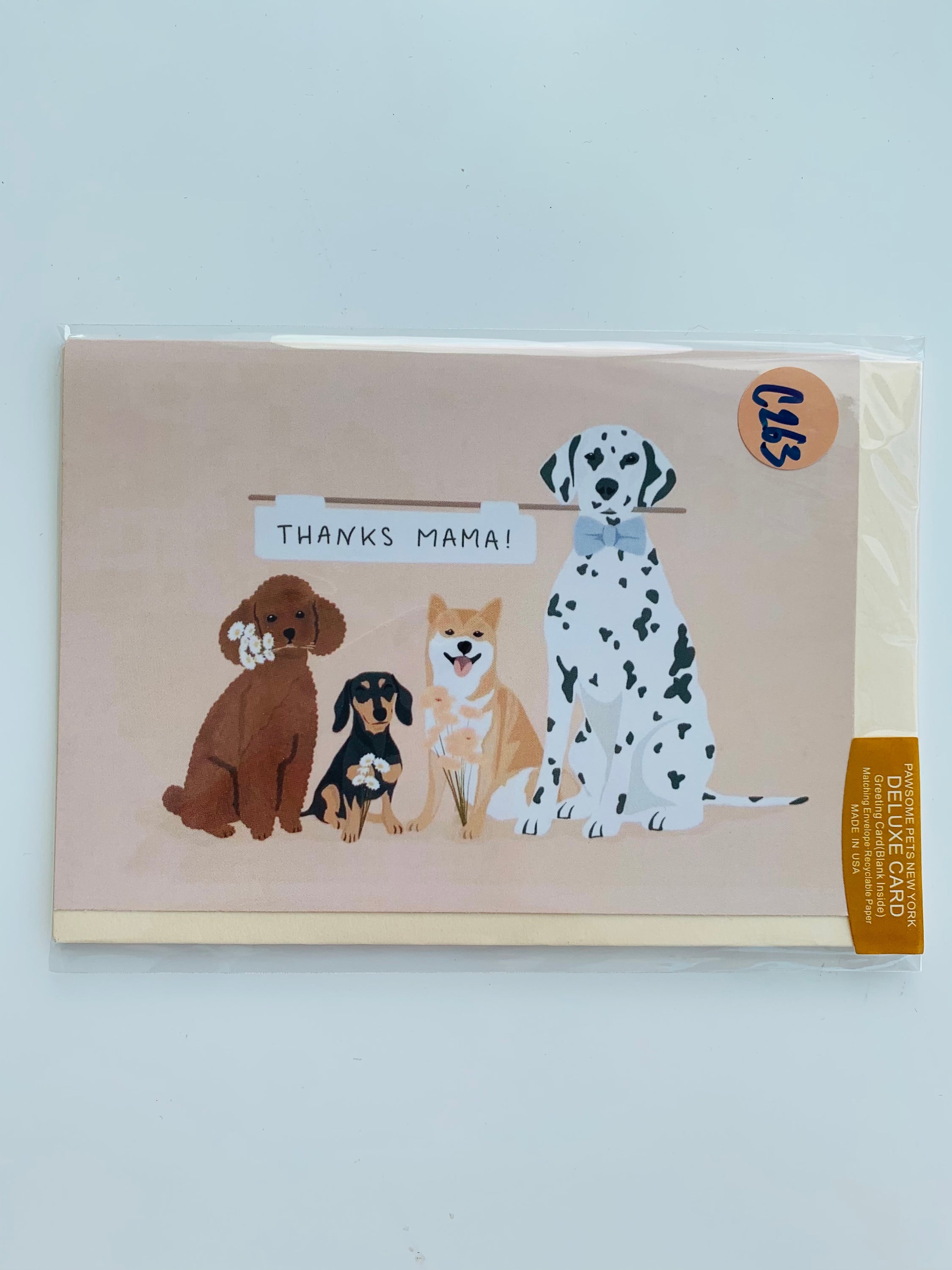 A beautifully designed folded greeting card featuring pets, printed on smooth white cardstock with a blank interior.